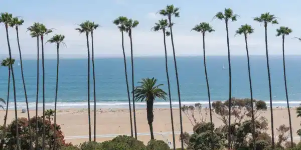 535 Ocean Avenue