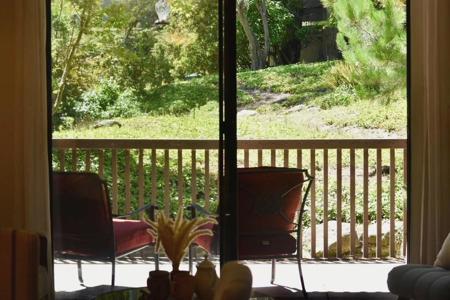 8129 Shelter Creek Lane