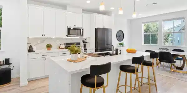 24107 Amaranth Loop