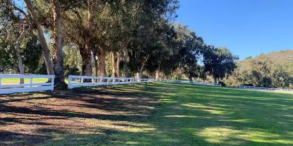 1058 Villa Grove Drive