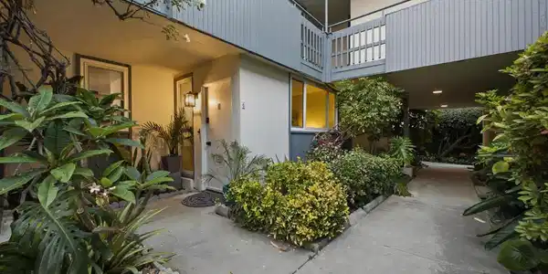 245 Aster Street