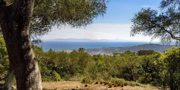 1303 Las Alturas Road