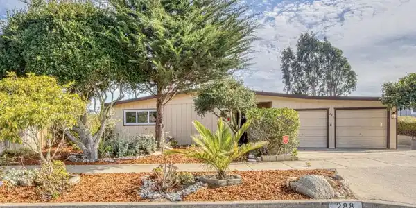 288 Young Circle