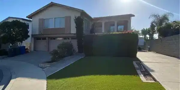 700 Pepper Tree