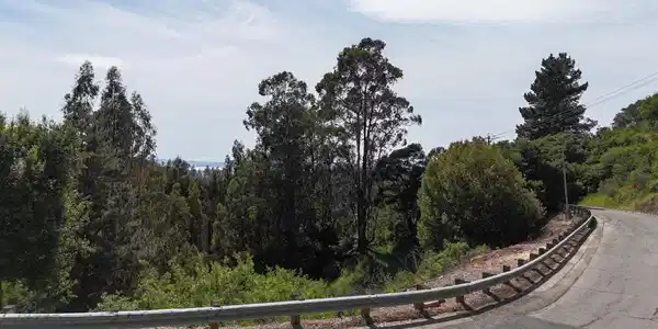 2551 Tunnel Rd