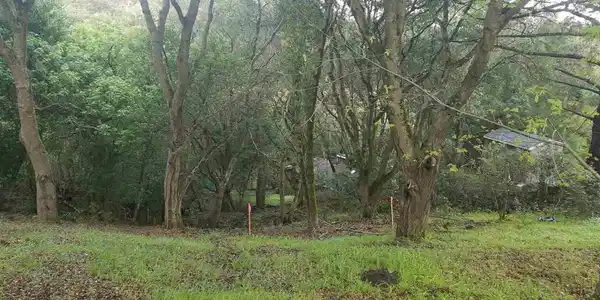 12 Vista Del Orinda