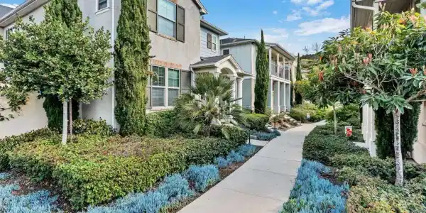 4307 Star Path Way