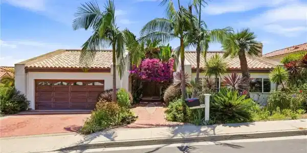 7 Campanilla