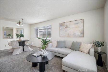 550 Mitchell Drive