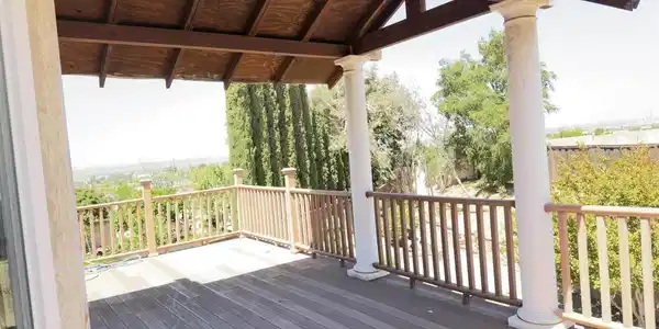 10 live Oak