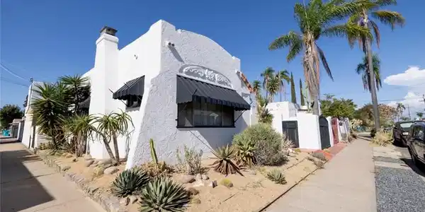 3226 Palm