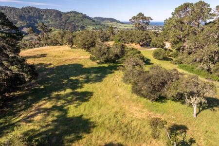 5155 Carmel Valley Road