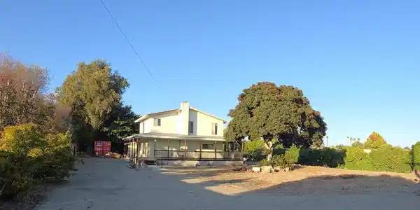 724 Pomelo Drive