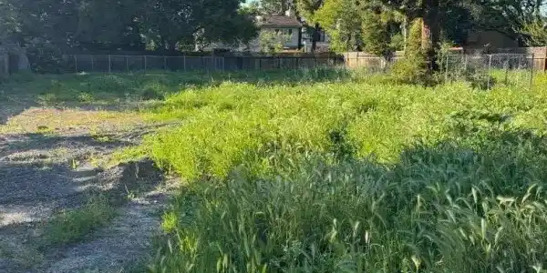 Encina Ave