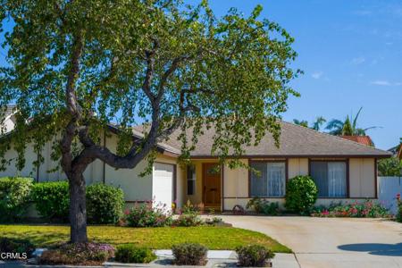 1800 Natalie Place