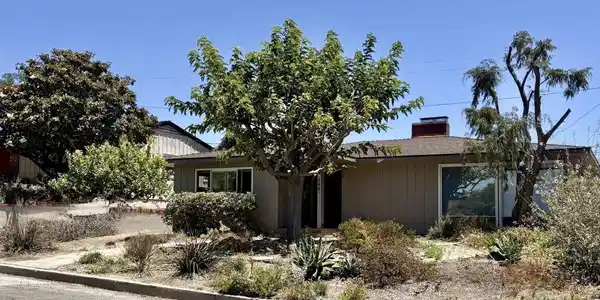 364 Carol Drive