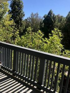 3602 W Estates