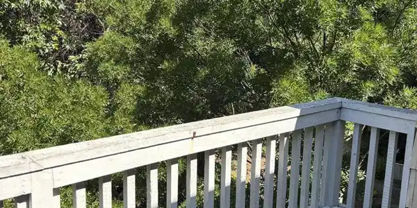 388 Mill Rd