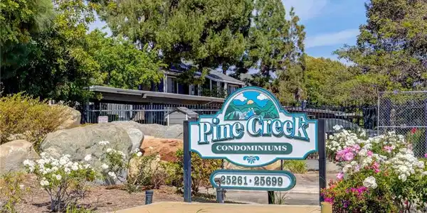25655 Pine Creek Lane