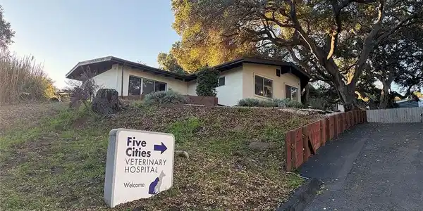 1577 El Camino Real