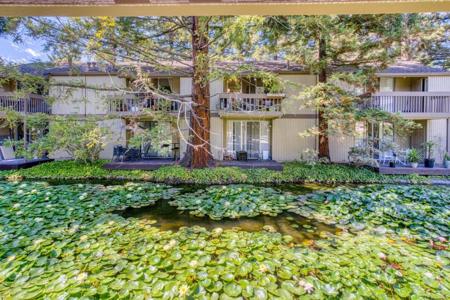 505 Cypress Point Drive