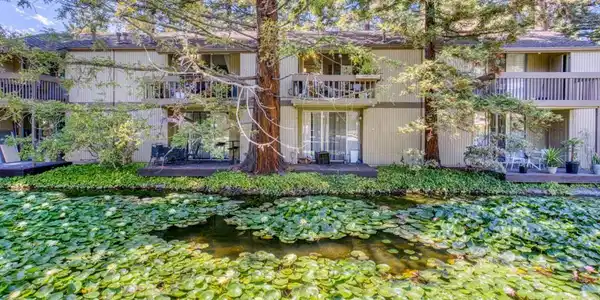 505 Cypress Point Drive