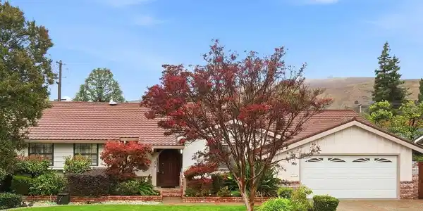 877 Cashew Way