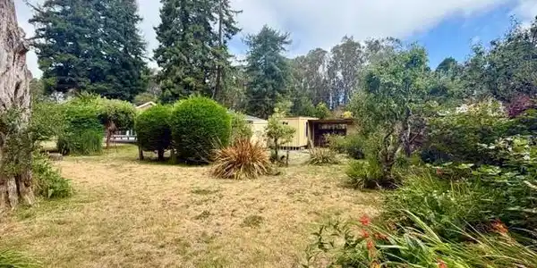 905 Pinetree Lane