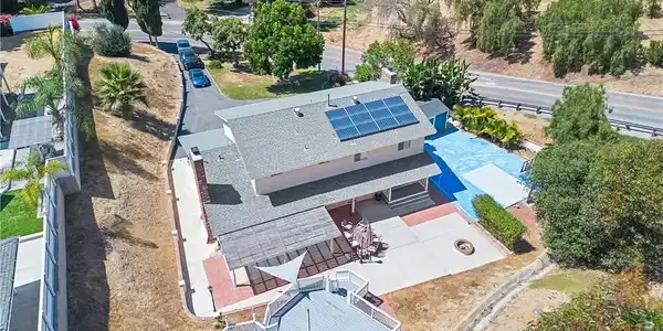 62 Pepper Tree