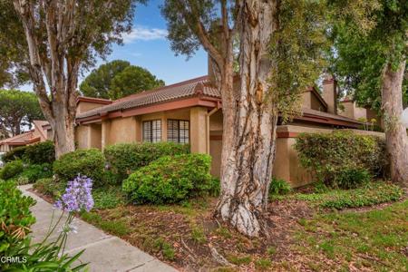3762 Via Pacifica Walk