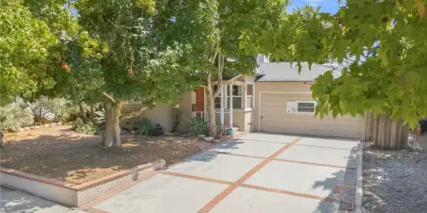 1384 Palms
