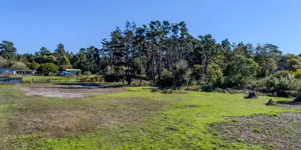 18451 Highway 1