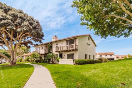 6859 Pear Tree