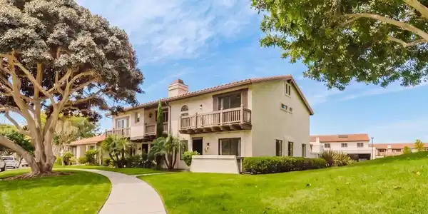 6859 Pear Tree