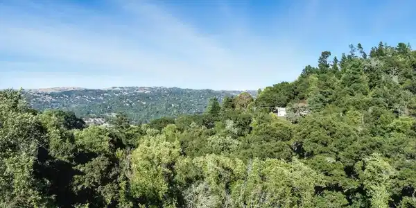 Camino Del Monte