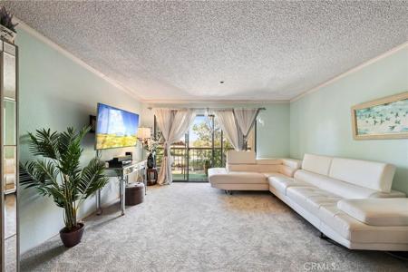 13601 Del Monte Dr