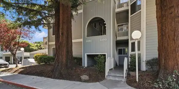 3395 Pinewood Ter