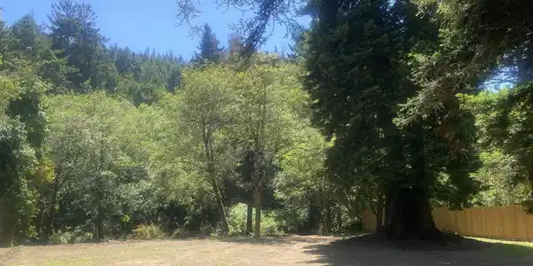 23780 De Haven Creek Road