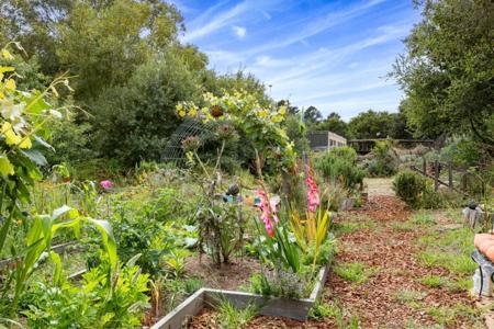 122 Strawberry Canyon Road