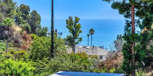 517 Palisades Drive