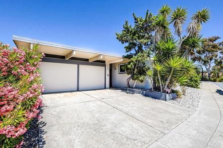275 Puffin Court