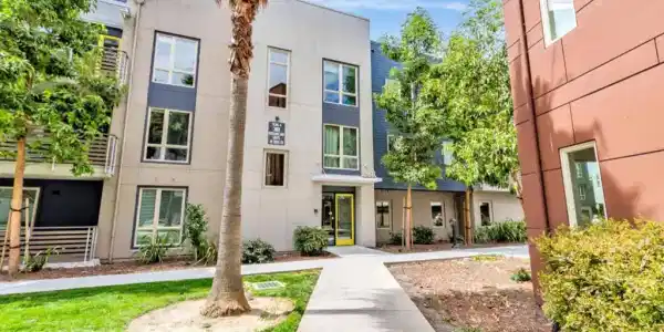 380 Riesling Avenue