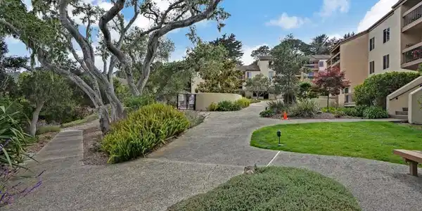 4205 Golden Oaks Lane
