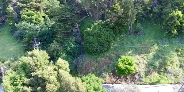 Scout Rd