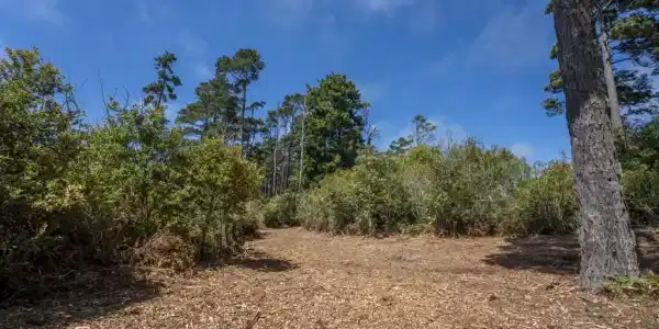 17898 Georges Lane