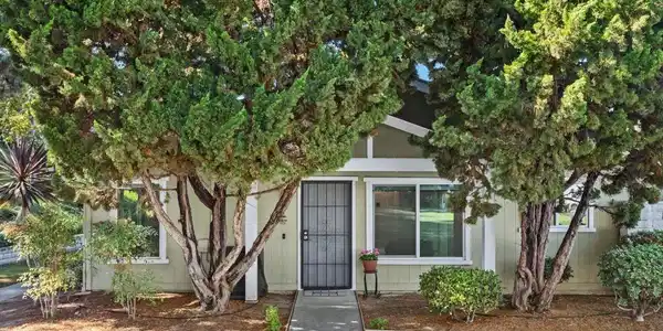 4369 Dowitcher Way