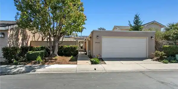 28152 Carpenteria