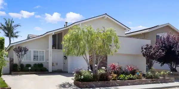 4260 Dogwood