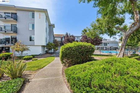 960 Shorepoint Ct