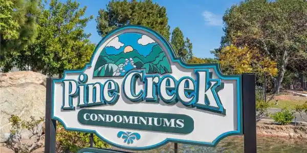 25613 Pine Creek